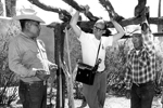 Lorentino Noceo, Bernard Fontana, and Frank Lopez discussing the reconstruction of a brush house and ramada at the Arizona Sonora Desert Museum as part of the original Doris Duke Native American Oral History Project. (Photo courtesy of Arizona State Museum at the University of Arizona, photo by Helga Teiwes)