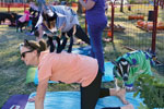 A person doing yoga with a goat on their back