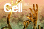 Logo for the Cell scientific journal
