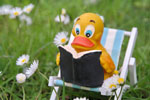 Illustration of a duck reading a book outside