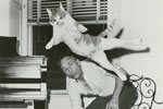 George Balanchine's dancing cat