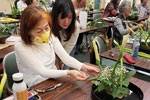 People practicing ikebana flower arranging