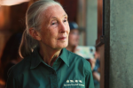 A photo of Jane Goodall