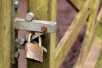 A padlock on a gate