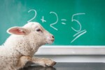 Sheep in front of a chalkboard with 2+2=5 written on it