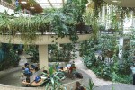 Plants at Downtown Reno Library