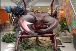 Giant Bugs exhibit at Columbus Metropolitan Library