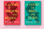 A Court of THorns and Roses and A Court of Mist and Fury, two books banned in Utah schools