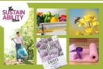 Montage of sustainability ideas