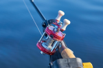 Fishing reel