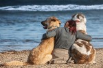 Woman sitting on a beach hugging two large dogs