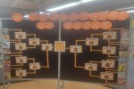 March Madness tournament of books display