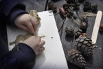 Close-up of a boy's hands making a craft with clay and pine cones
