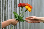 Flowers being handed from one hand to another
