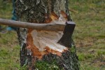 Axe stuck in a tree trunk