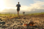 Snail crossing a trail that runners have just passed