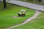 Desire path through a park next to a paved path