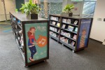 Spacesaver Flexible Shelving units with swap-out window panels
